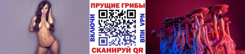 Псилоцибиновые грибы мицелий  KRAKEN сайт  Пойковский 